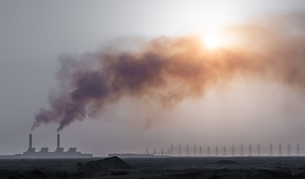 Finding common ground: Fostering environmental cooperation in the Persian Gulf - Vimarsana News