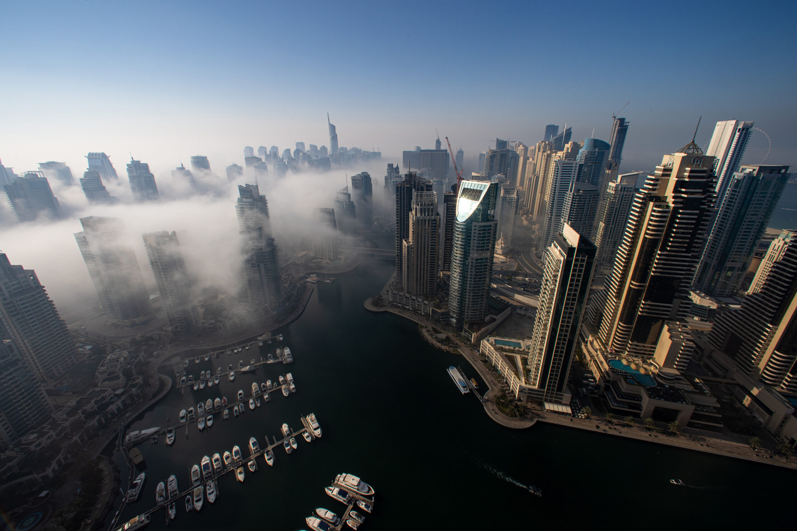 Breaking the citizenship taboo in the UAE - Vimarsana News