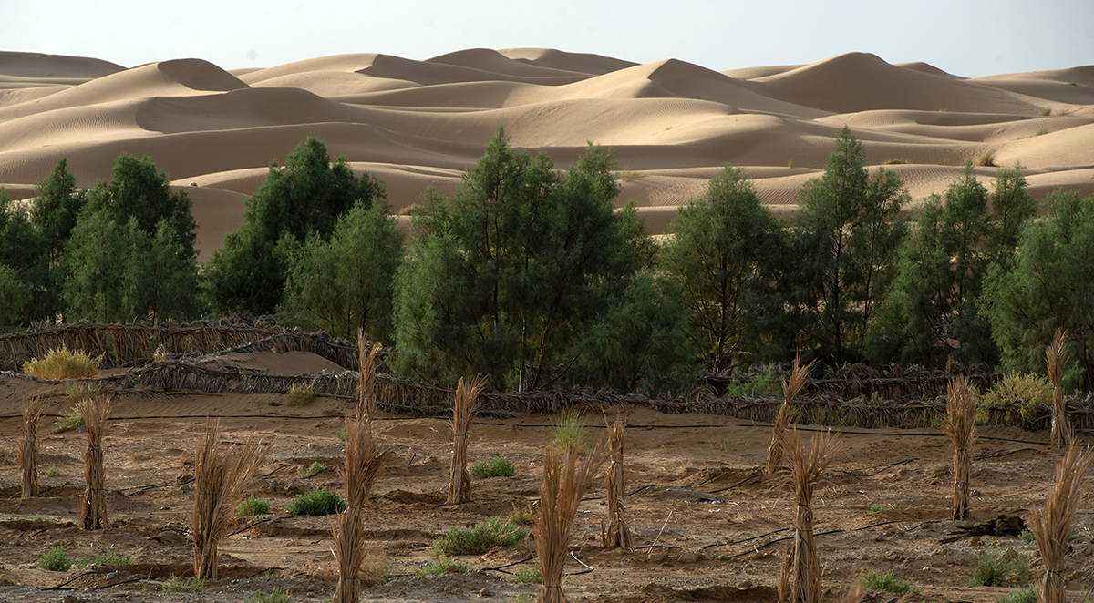 , Could climate risk insurance reduce the cost of climate change adaptation in the Middle East?