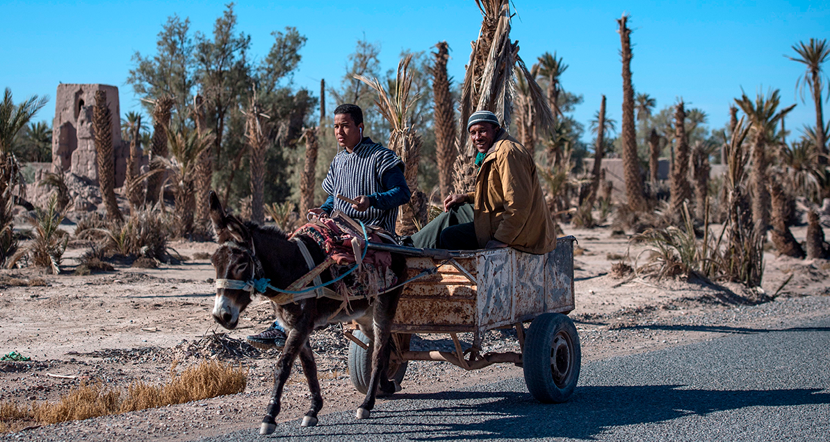 The Fragile State of Food Security in the Maghreb: Implication of the 2021  Cereal Grains Crisis in Tunisia, Algeria, and Morocco | Middle East  Institute