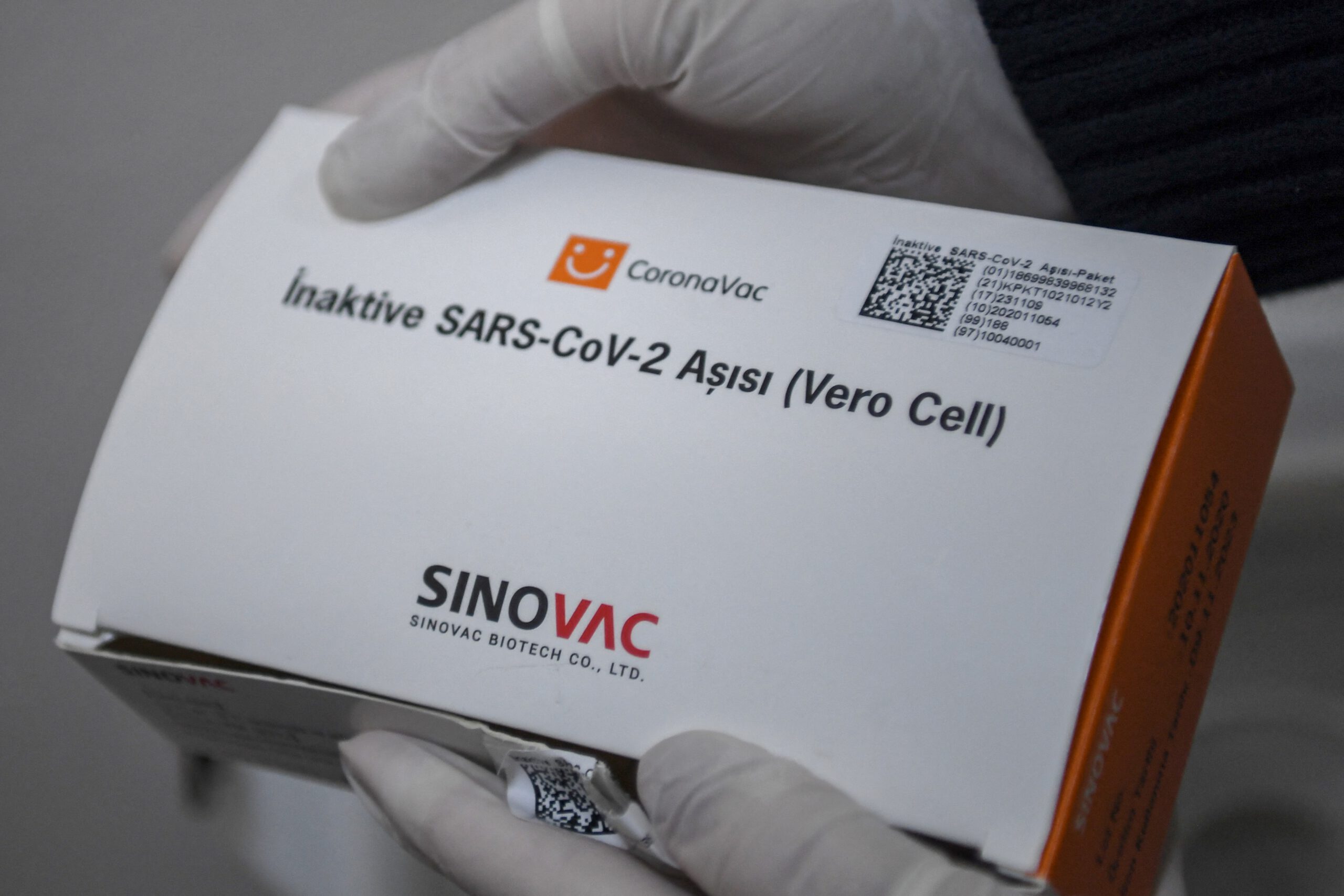 The “Chinese Vaccine” and its Discontents: Turkey's Public Debate on  Sinovac during the COVID Crisis | Middle East Institute