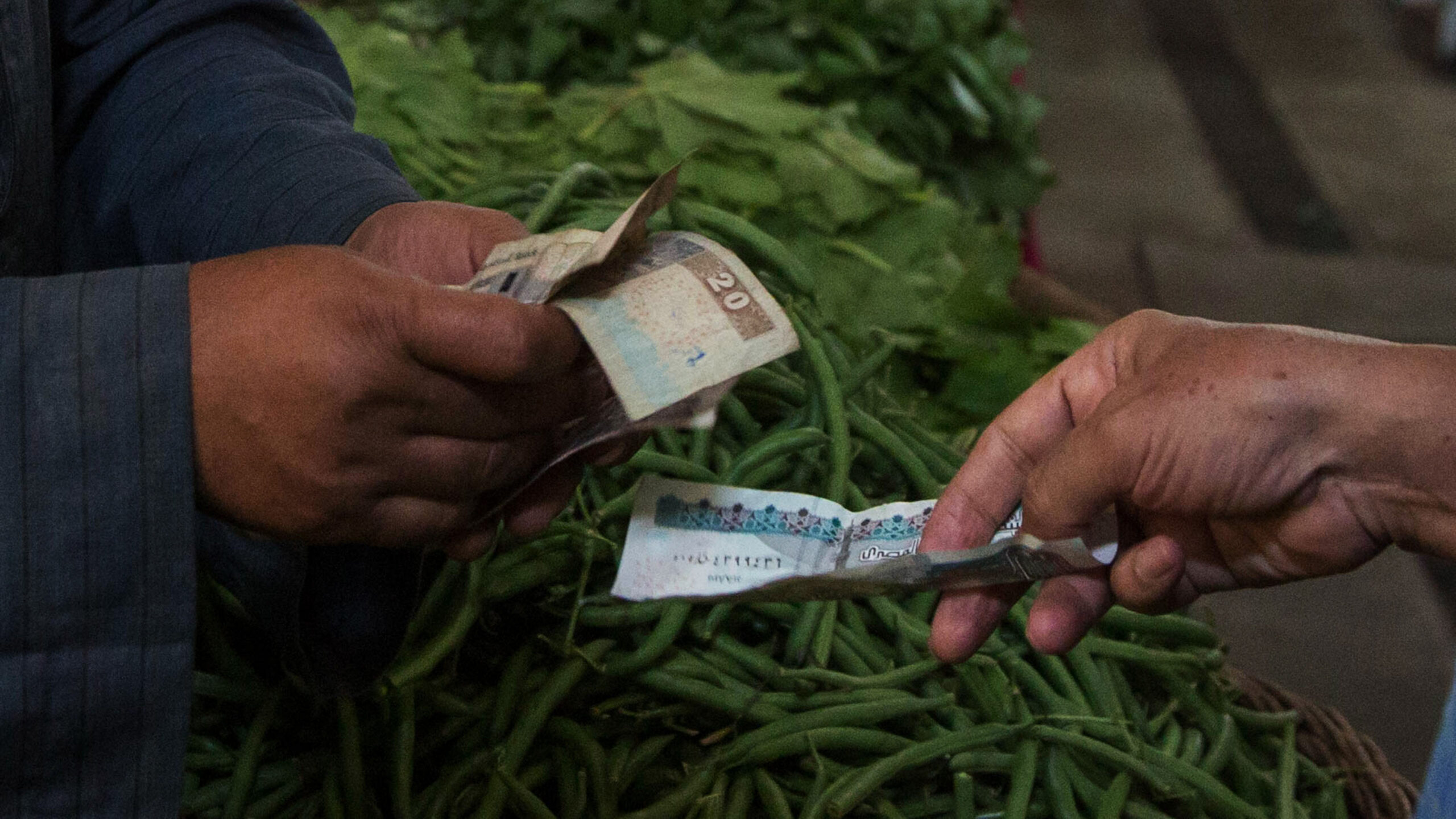 Egyptian government walks risky economic tightrope to fulfill its loan conditions to IMF - Vimarsana News