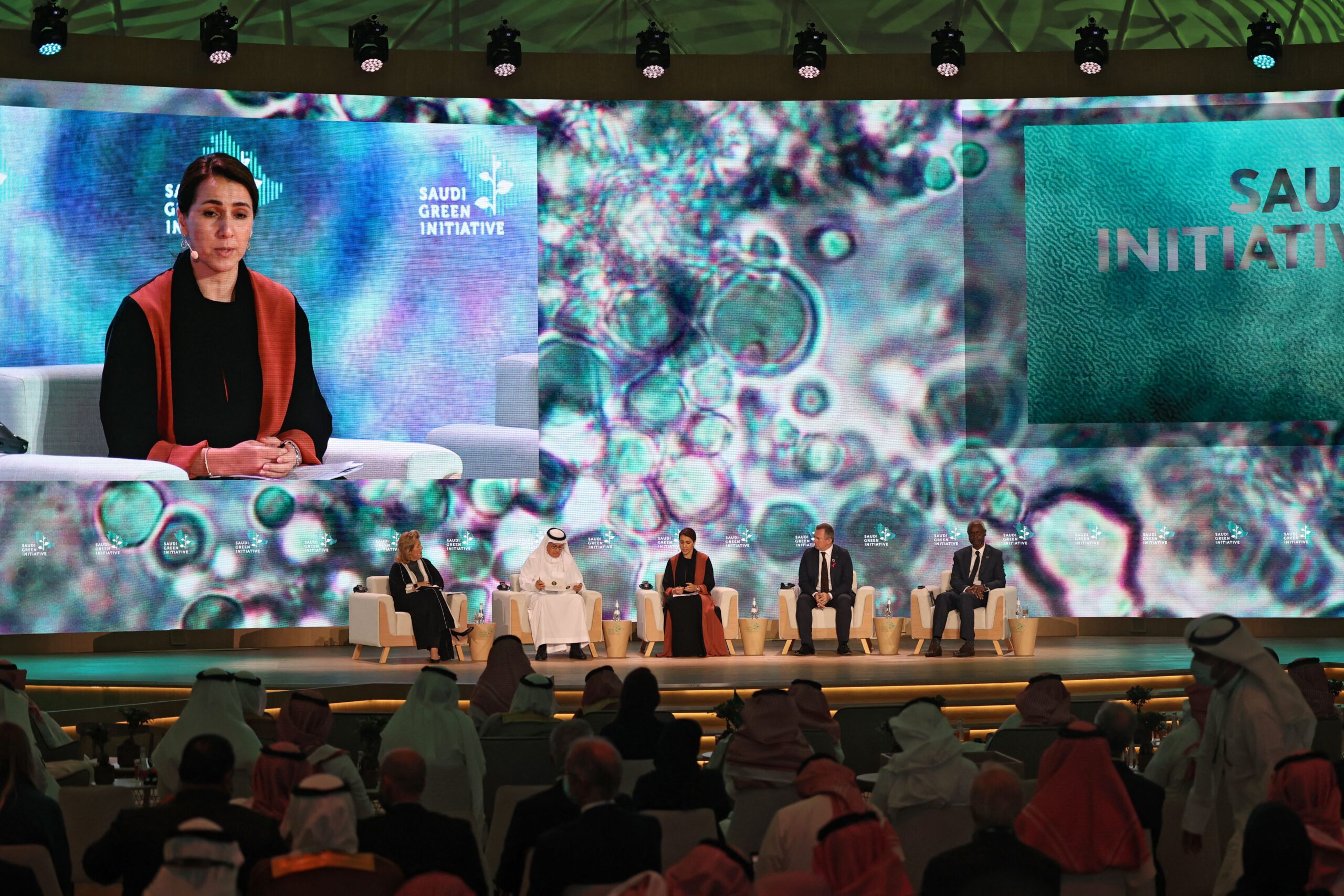 The GCC and the road to net zero - Vimarsana News