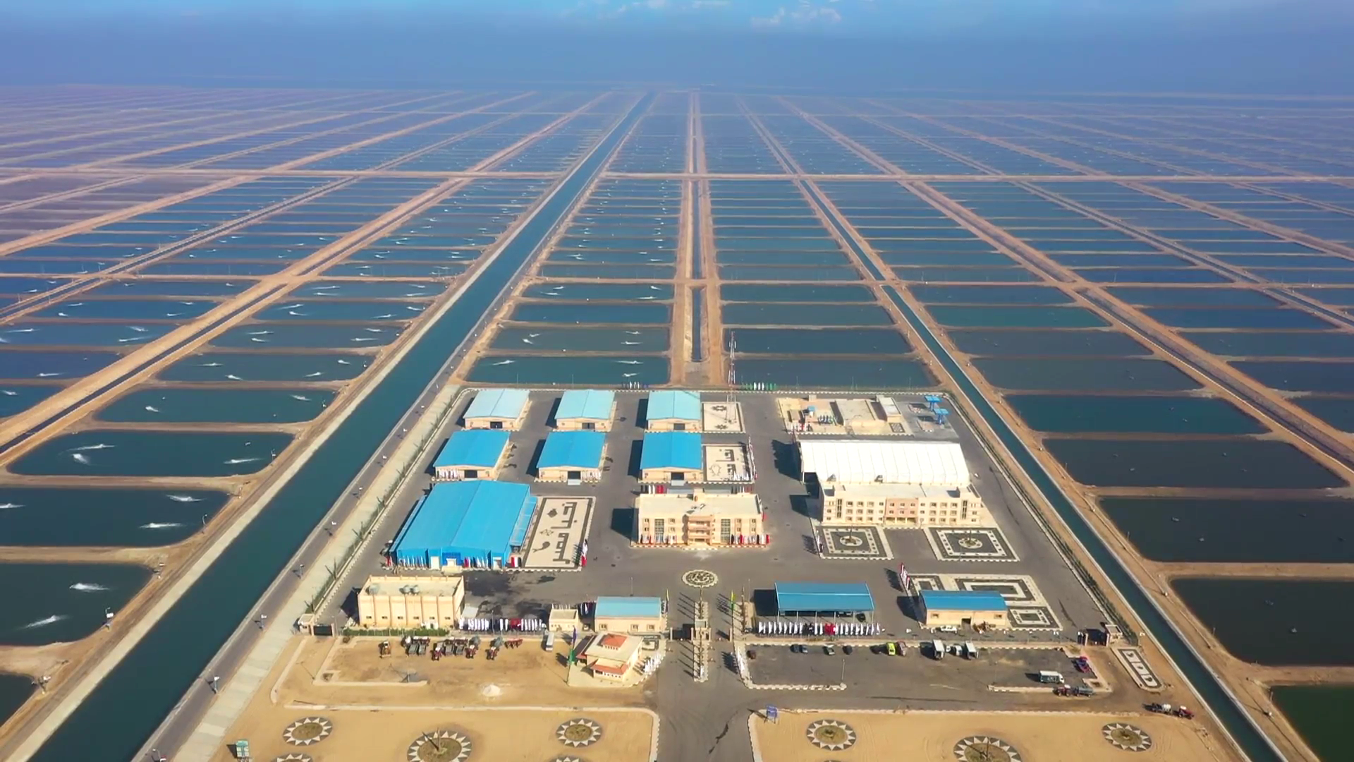 Fish farmers in the Nile River Delta: Empty lakes and dirty waters - Vimarsana News
