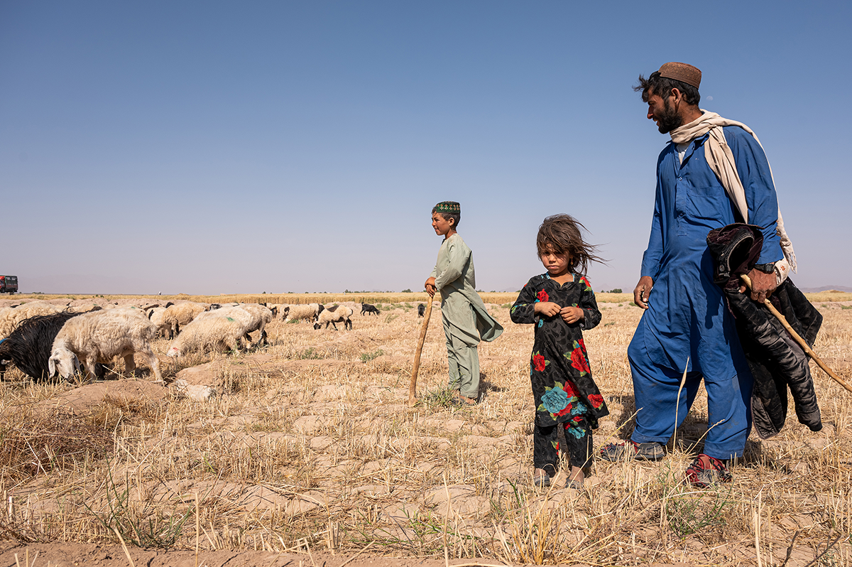 The Political Economy of Climate Governance in Afghanistan: An Analysis of the Context and Challenges - Vimarsana News