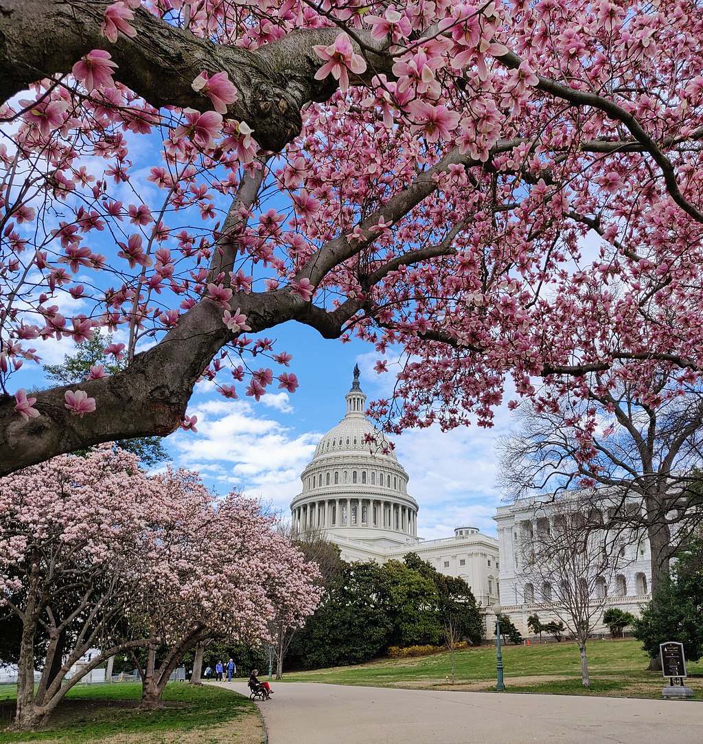 U.S. Capitol building