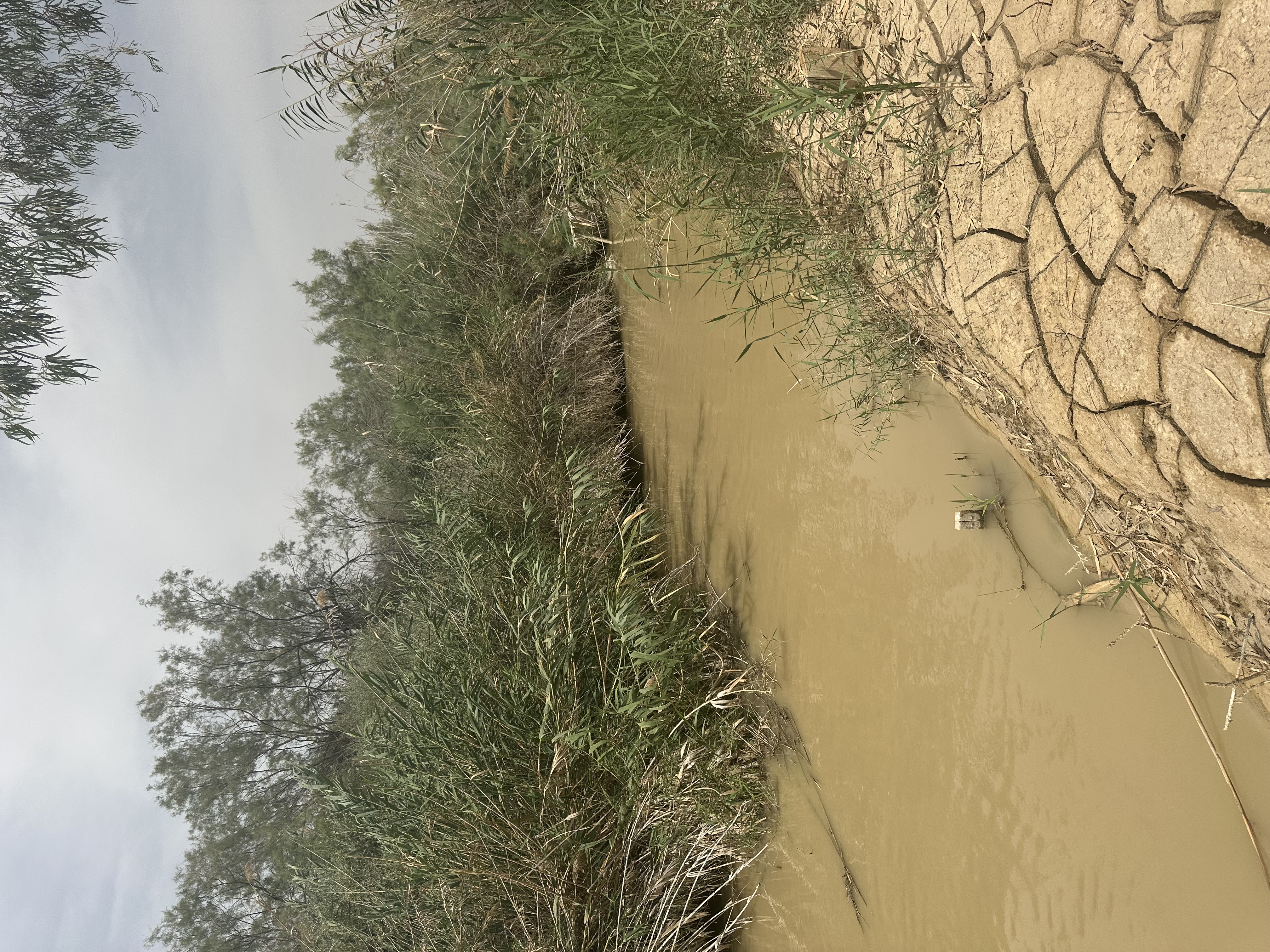 Riverbed near the Bethany Beyond the Jordan baptism site.