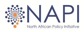 NAPI logo