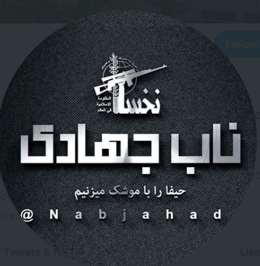 Nakhsa’s Twitter account avatar. Their handle is “Nabjahadiii.”