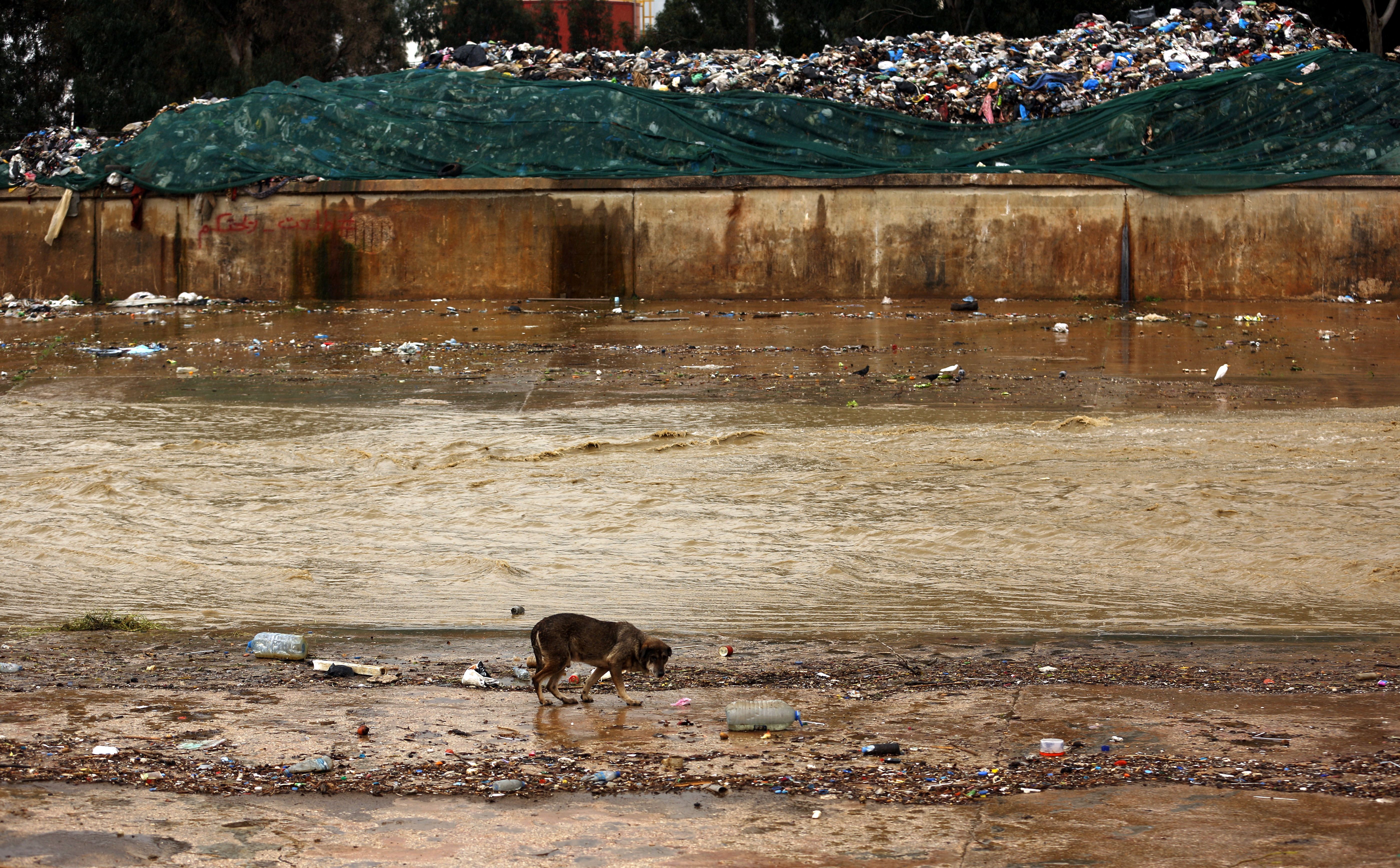 PATRICK BAZ/AFP via Getty Images