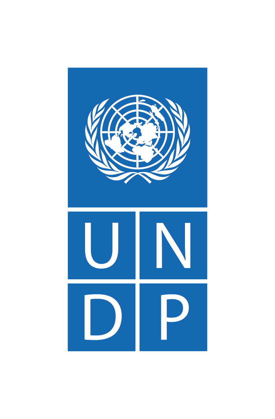 UNDP logo