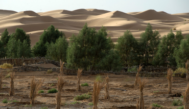 Photo by FADEL SENNA/AFP via Getty Images