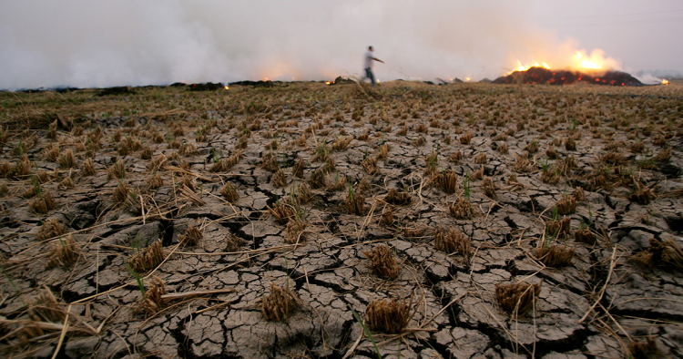 Photo by KHALED DESOUKI/AFP via Getty Images