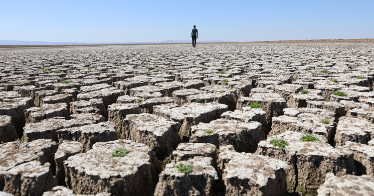 Photo by Bestami Bodruk/Anadolu Agency via Getty Images