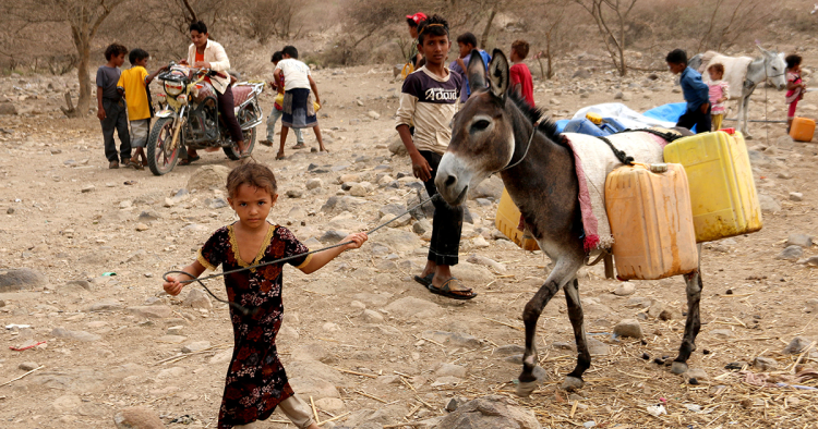 Photo by KHALED ZIAD/AFP via Getty Images