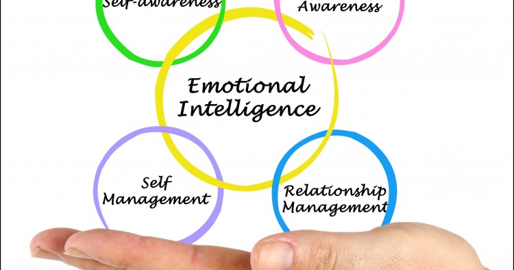 The Role of Emotional Intelligence in Humanitarian Response ...