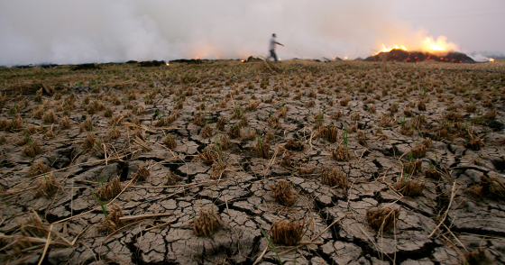 Photo by KHALED DESOUKI/AFP via Getty Images