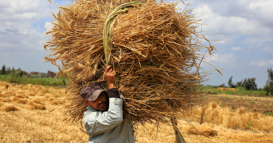 Photo by Mahmoud Elkhwas/NurPhoto via Getty Images