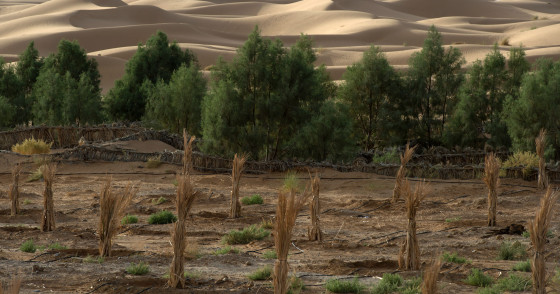 Photo by Fadel Senna/AFP via Getty Images