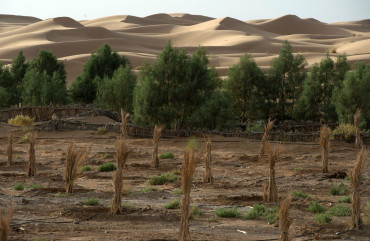 Photo by Fadel Senna/AFP via Getty Images