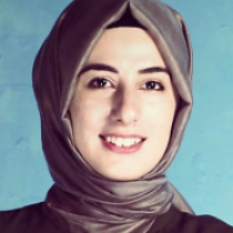 hacer z gonul middle east institute