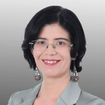 Çağdaş Üngör Profile Image