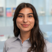 Nazlee Shahidzadeh
